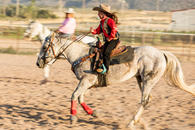 ppid horse with child riding