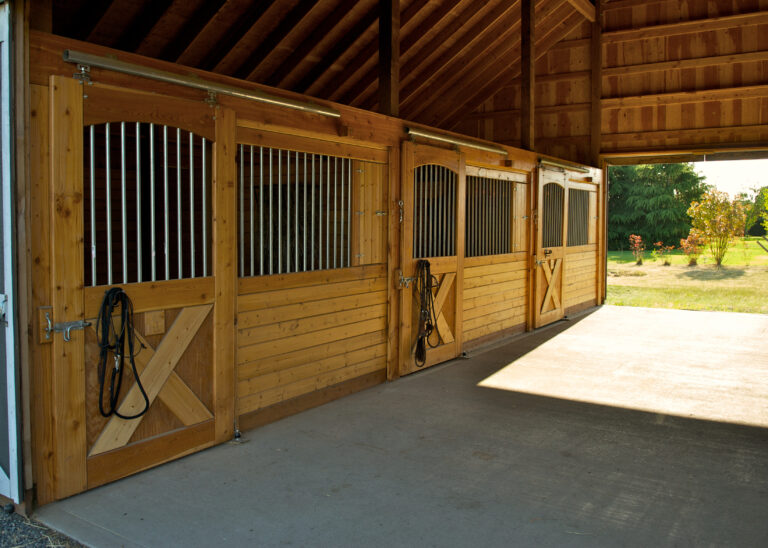 you can manage noises for horse hearing in stables