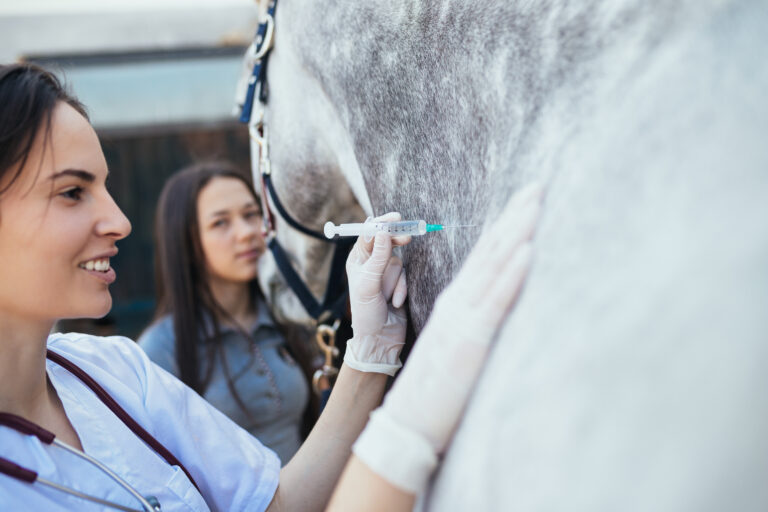 senior horse vaccination