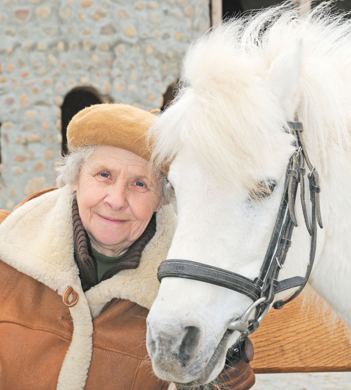 caring for senior horses