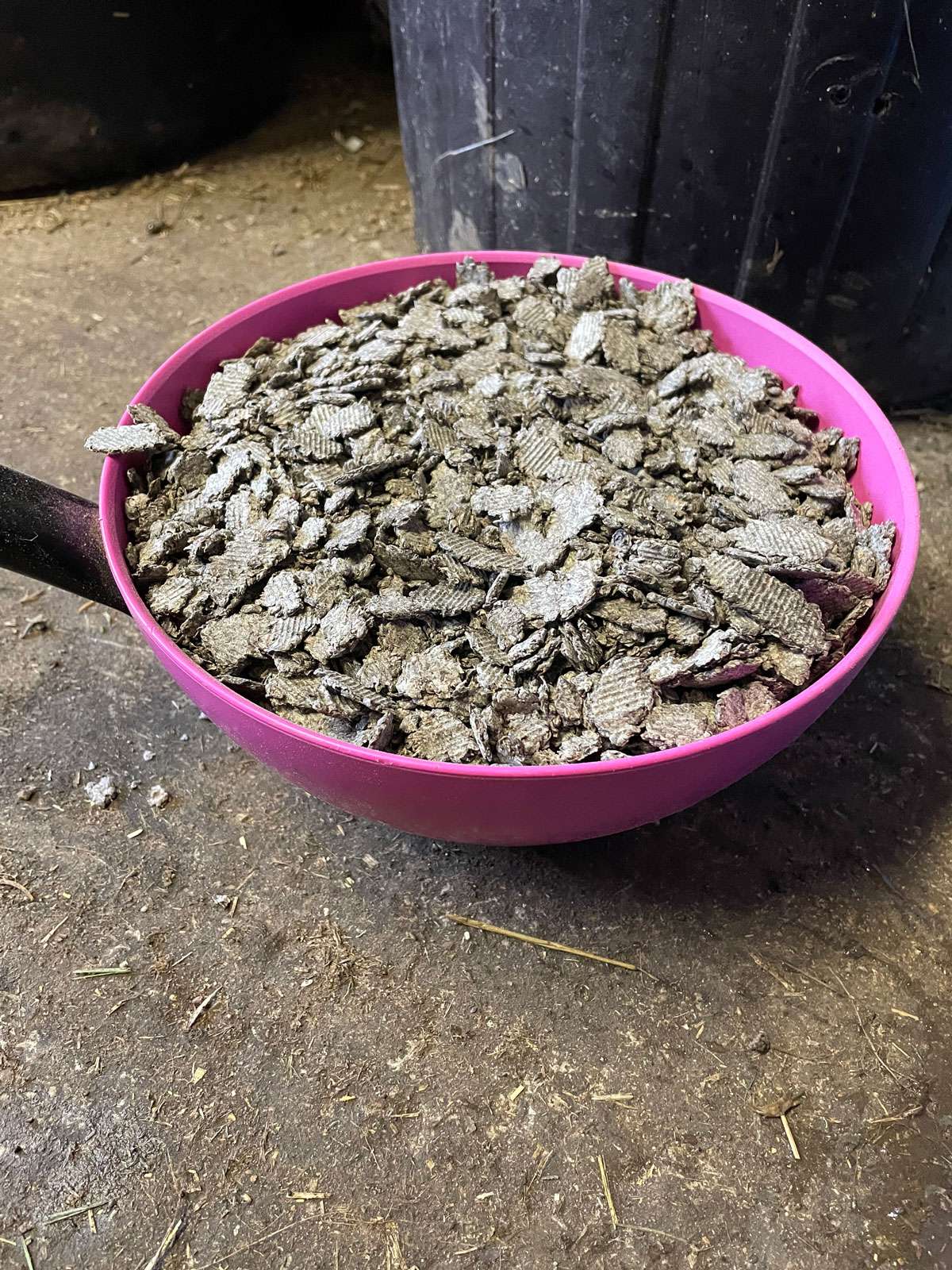 sugar beets in bowl