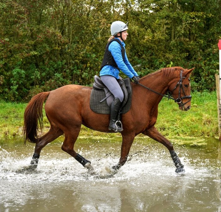 comfortable horse trotting water