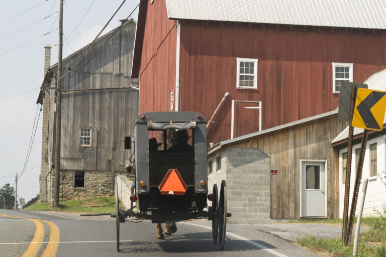 barn background Amish buggy on road