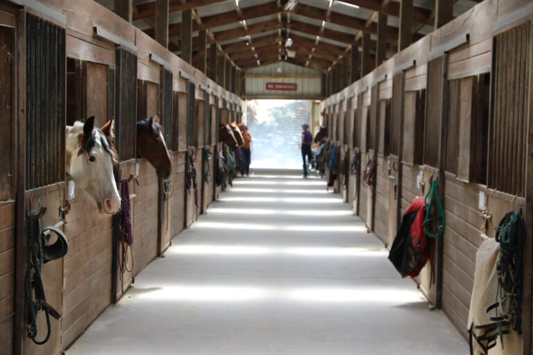 horse barn aisle