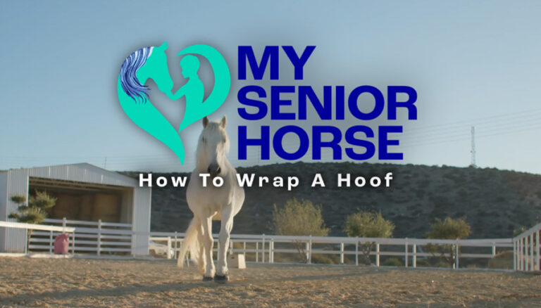 how to wrap a horse's hoof video