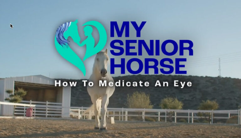 how to medicate an eye video screen capture