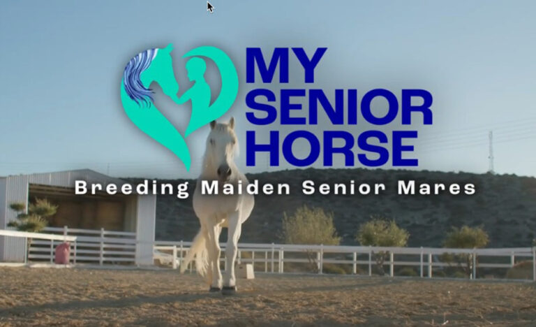 breed-senior-maiden-mares-video-screen-capture-1000