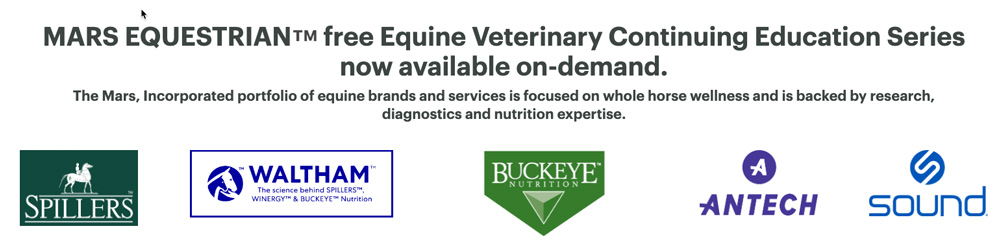 equine endocrinology