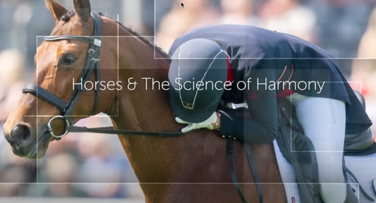 horses and science of harmony