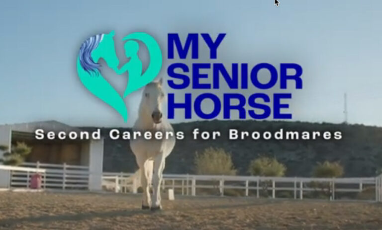 broodmare second career screen capture