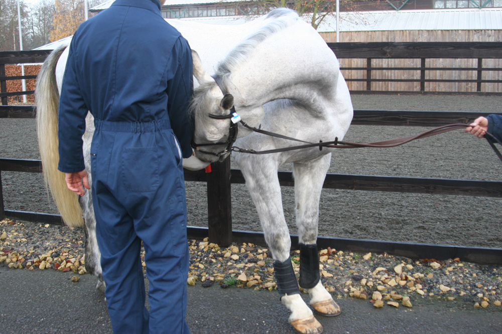 neck flexion test