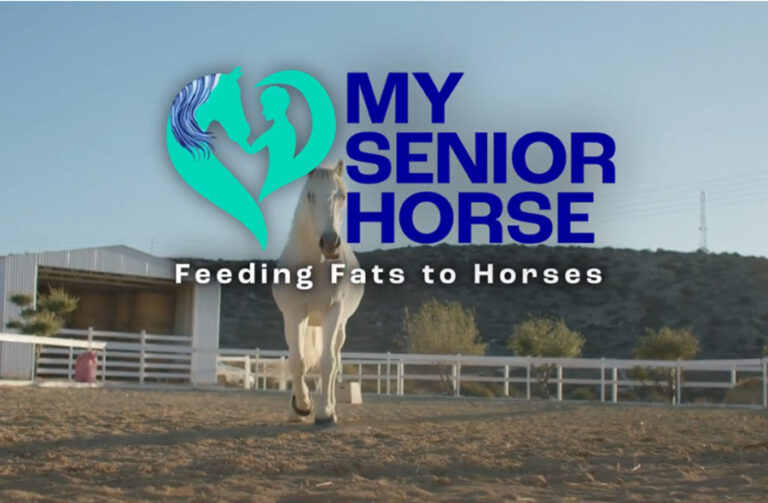 feeding fats to horses video