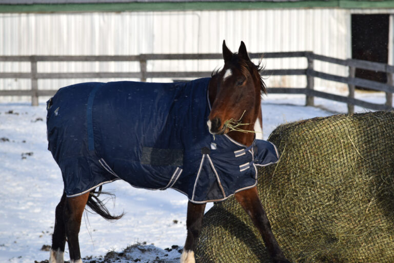 slow feed hay net