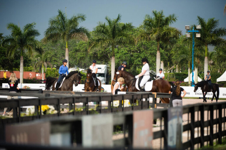 respiratory horse show