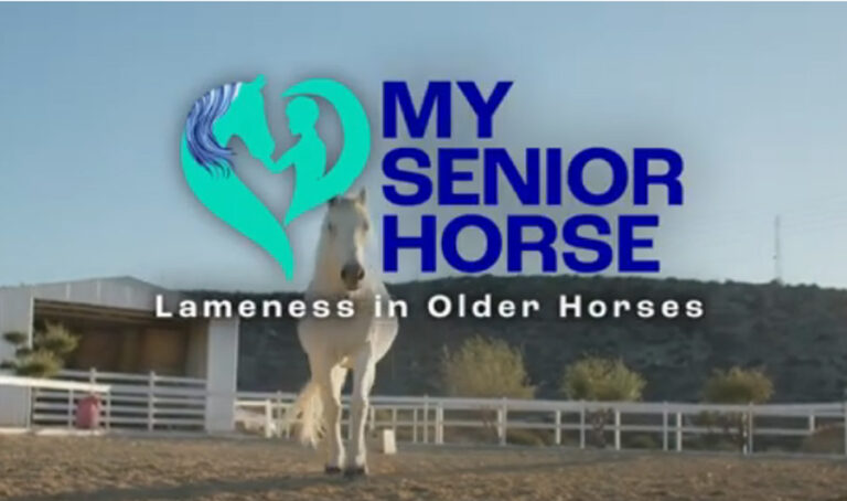 lameness in senior horses video