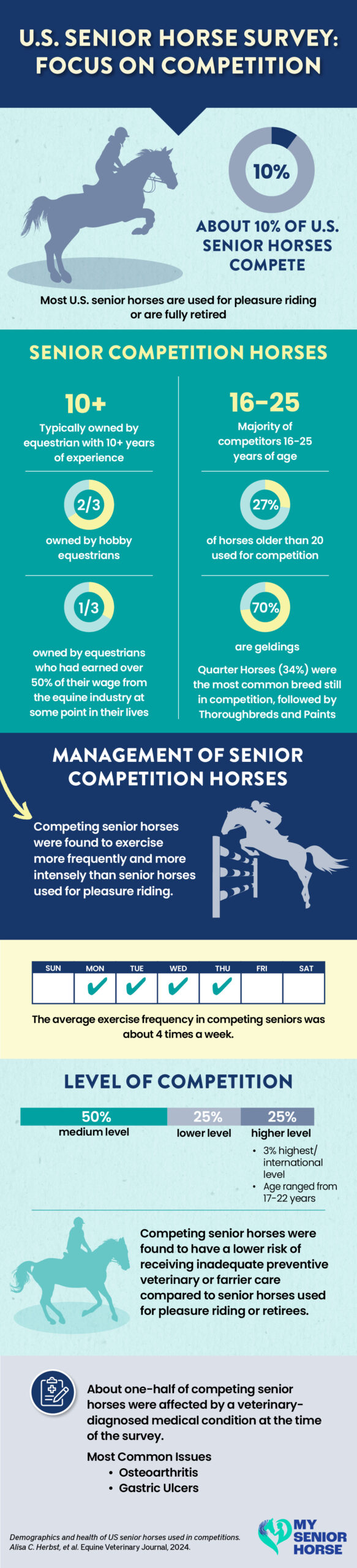 senior horse competition infographic