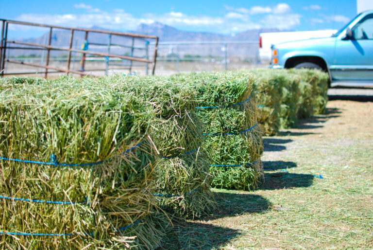 hay bales