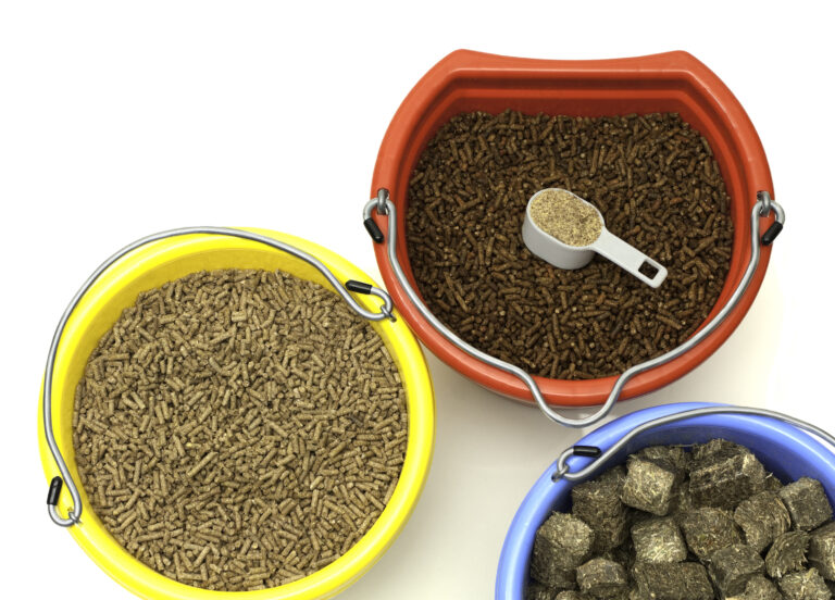Horse Feed and Supplements