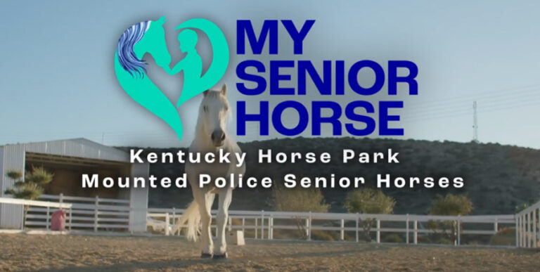 KBH mounted police senior horse video