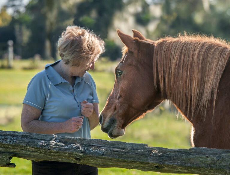 Senior aged woman giving treats to horse mare