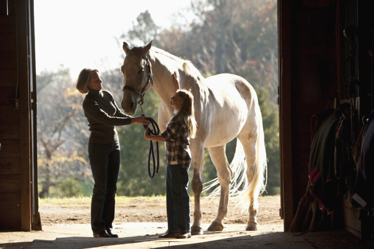 older horse PPID woman girl