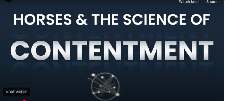 Horses and the Science of Contentment