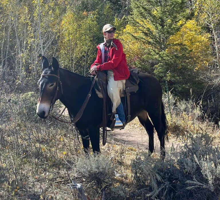 ticks can attach to your equids in brushy areas