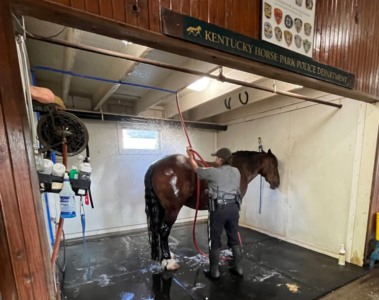 Officer Heather Geer with Mackenzie, senior mounted police horse