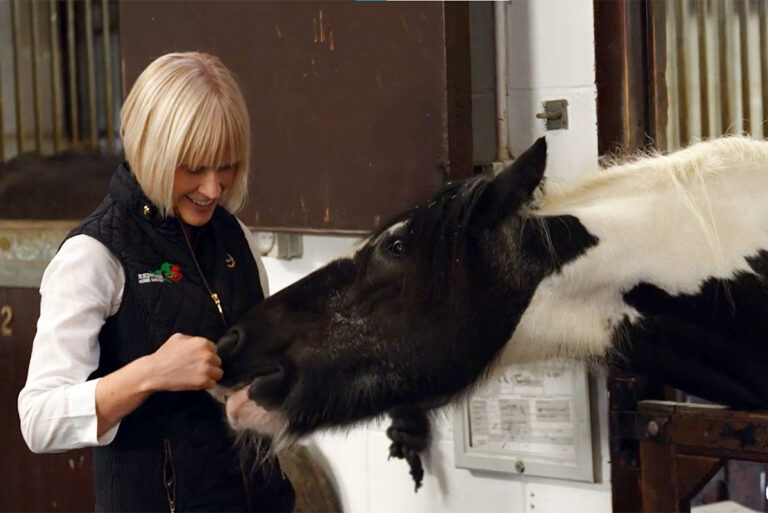 Feeding hospitalized laminitic horse