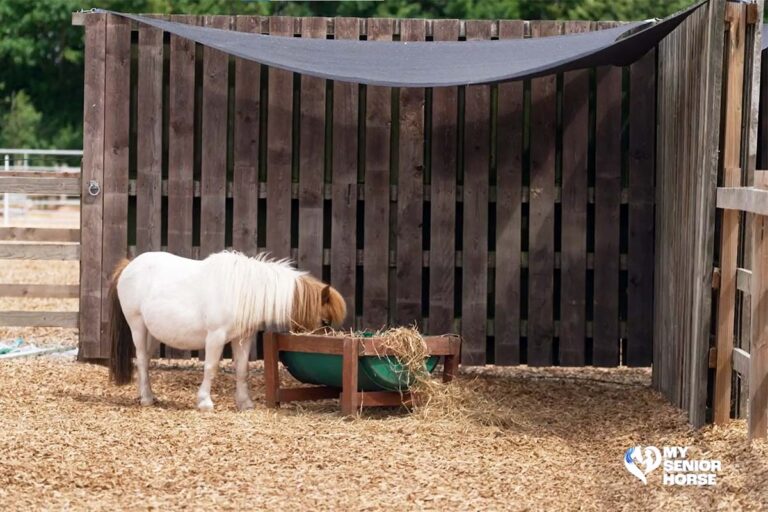 woodchip paddocks