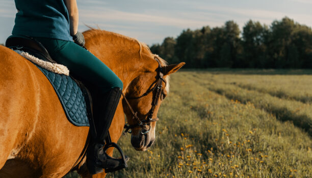 exercise woman riding senior horse