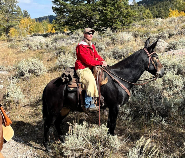 mule ridden in mountains metabolic parameters