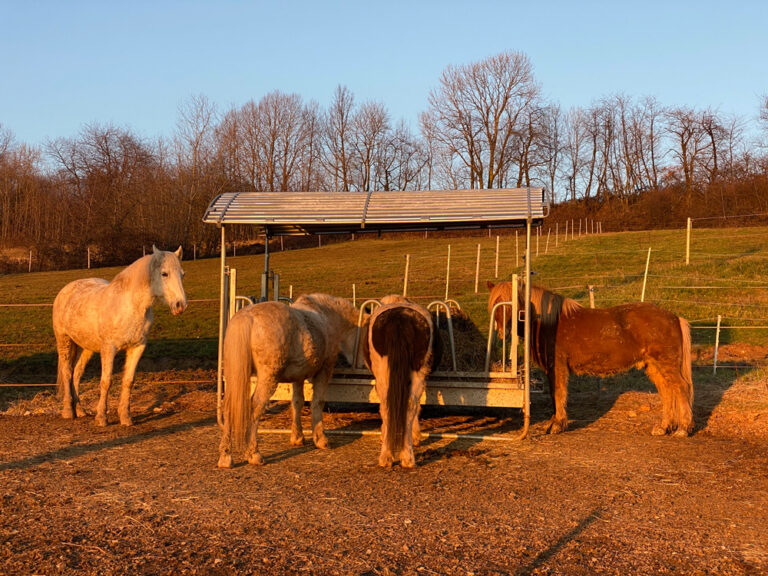 forage group hay feeder