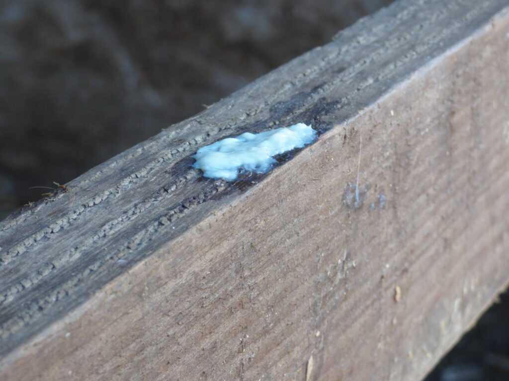 Strangles discharge on a wooden board. 