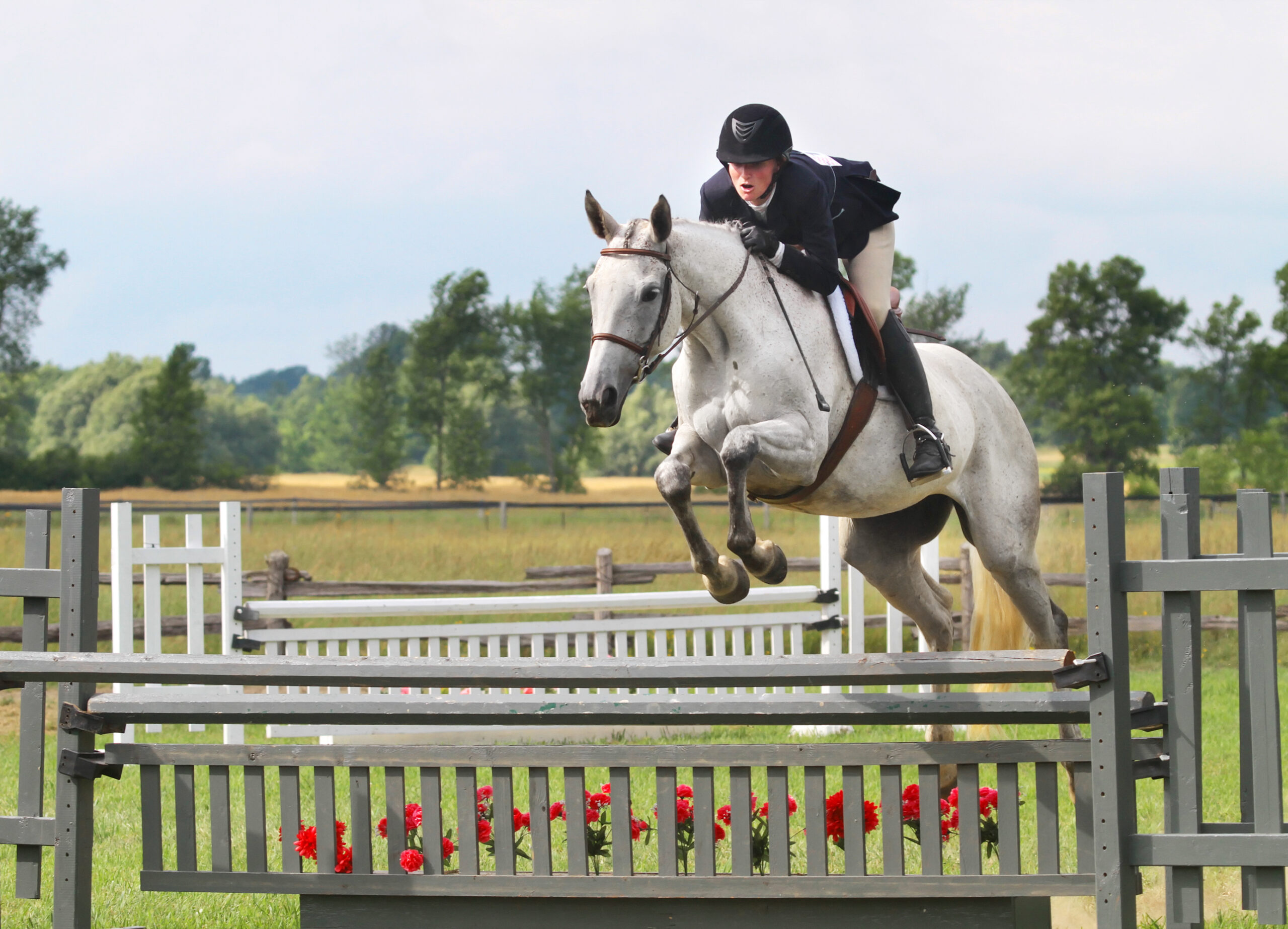 Horse jumping in a horse show.