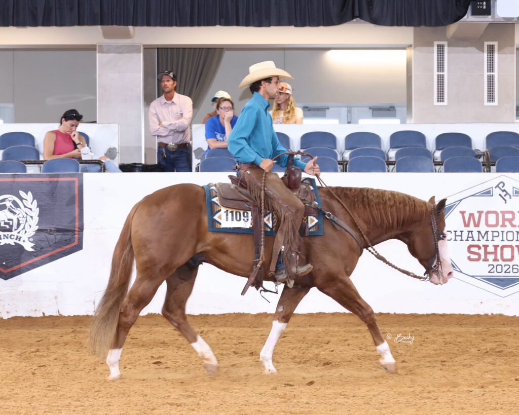 Chics Big Gun, a 2008 sorrel overo stallion by Colonels Smoking Gun and out of Chics Metermaid.