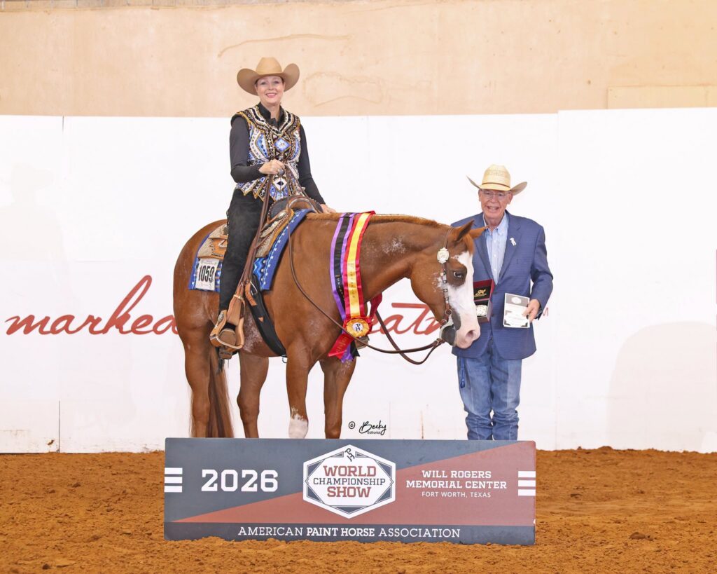 A Western Sensation, 2007 sorrel overo gelding is by Zippos Sensation and out of A Passing Fancy.