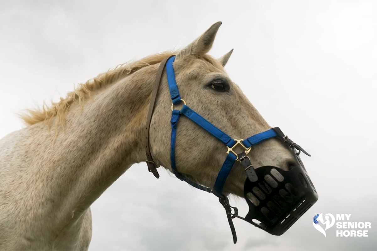 3 Restrictive grazing methods