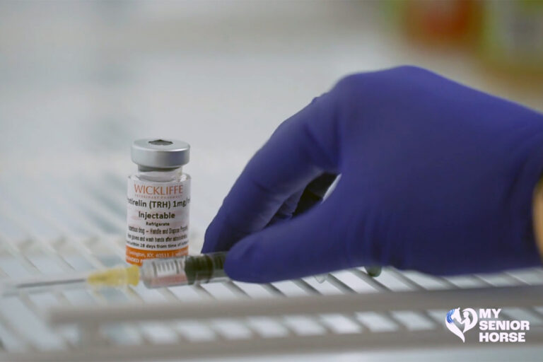 8 seasonal testing considerations