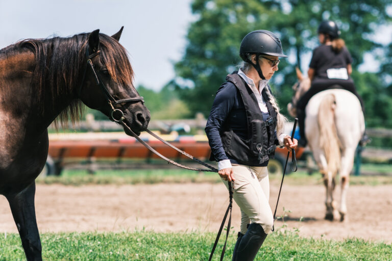 senior competition horse and mature woman