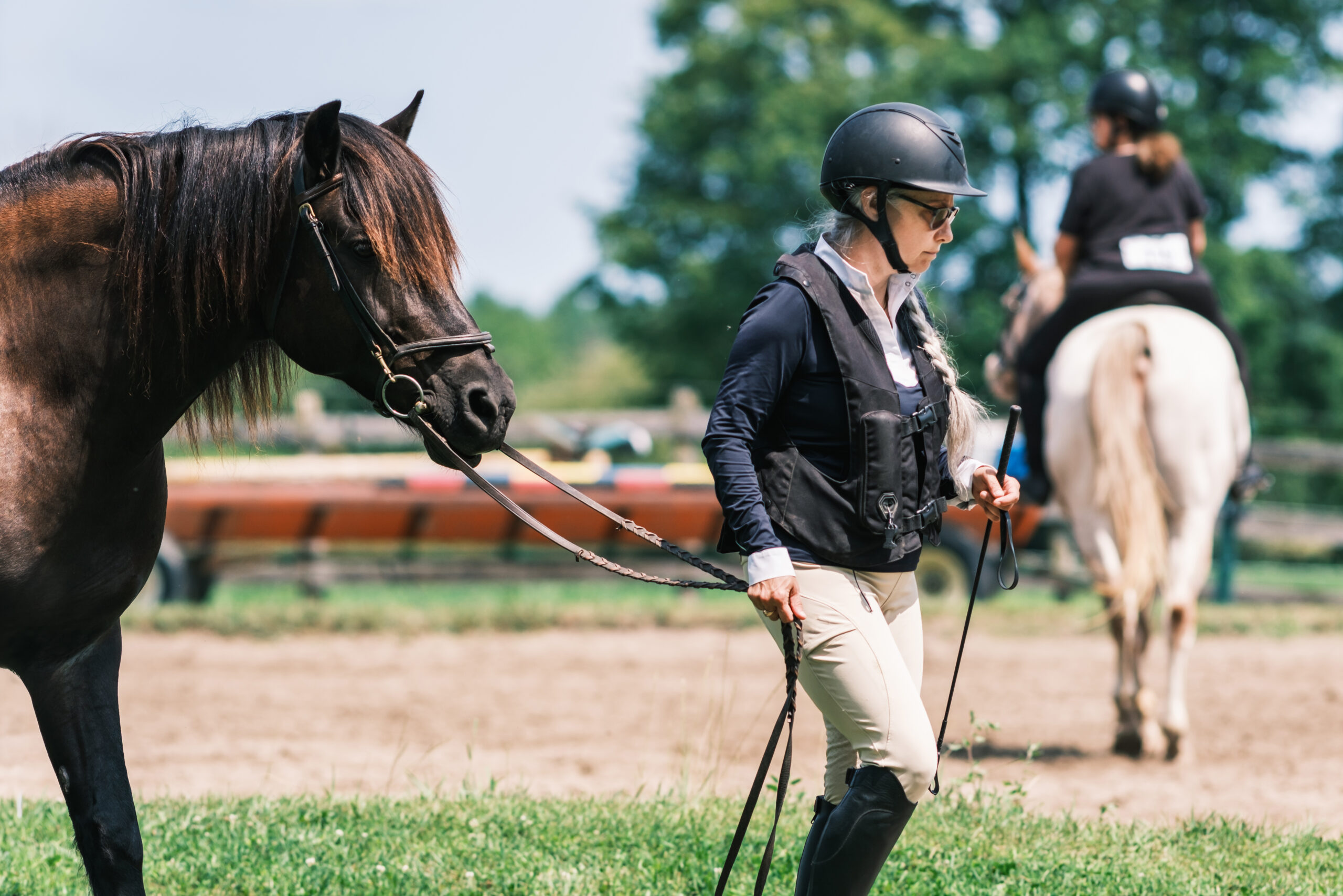 senior competition horse and mature woman